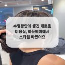 새로운미용실 네이버블로그