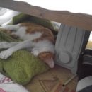 이쁘다 멍 이미지