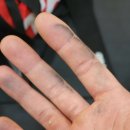 DYB GYM & QTP GYM 이미지