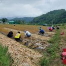 야로면사무소 이미지