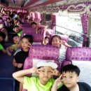 비슬리조트 이미지