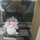 이든혜윰 이미지