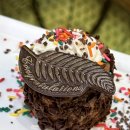 엔와이(NY)팜스토어 | 2024년 11월 뉴욕-칸쿤 신혼여행 :: 5일차