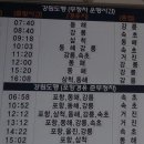 버스표
