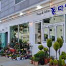 화니다방