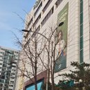 2001아울렛 | 노원 2001아울렛 중계점 2026년 첫 쿠폰 할인 내돈내산