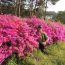 태안휴게소 이미지