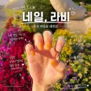 꼼꼼네일 - 동구 신기로 123-39 | 울산 야음동 네일샵 네일라비 남구 꼼꼼한 젤네일 후기 주차