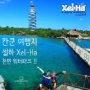 Xel-Ha PC | 칸쿤 액티비티, 셀하(Xel-Ha) 천연워터파크 칸쿤 꼭 가야할 곳💕