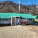 양산 원동 미나리 삼겹살 미나리 축제 13번집 웅이농장 솔직후기