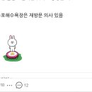 구름포해수욕장카라반