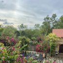 Bohol | 3박 5일 여행 with gaentin beck (2)