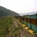 화산농장3 이미지