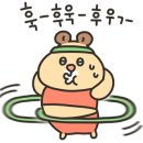 시로비풀빌라