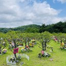(주)편한 이미지