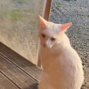 라온캠핑장 이미지