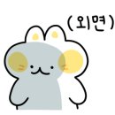 애견용품아울렛 이미지