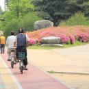 천안대로 이미지