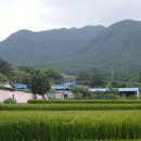 입실2리 본동 이미지