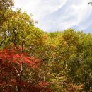 자라목장 이미지