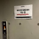 코미디클럽 홍대]메타코미디클럽 만담어셈블 유스데스크, 스낵타운, 보따, 빵송국 공연 관람 후기ʕᰔ˙ᴥ˙ᰔʔ