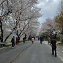 임곡2리 이미지