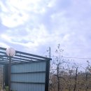 루아네 하우스 이미지