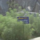 왕대민박 이미지