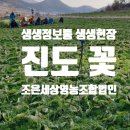 봄동법인