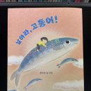 날아라고등어 Daum카페
