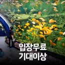 닥터카정비 | 삼척 민물고기 전시관 후기, 아이와 가기 좋은 강원도 여행지 (위치·주차)