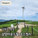 삼양 | 대관령 삼양목장 아기랑 강원도 평창 가볼만한곳 삼양라운드힐 후기