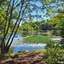 가평하늘정원 이미지