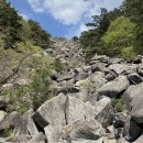 제170차 정기산행 대구 비슬산(천왕봉;1,084m) 이미지