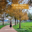 두물머리 관광안내소 | 남양주 두물머리 무료주차 연핫도그 웨이팅 없이 즐기는 꿀팁