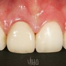 비너스치과의원 이미지