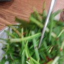 원동주유소 이미지