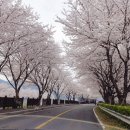 삼문강변로 이미지