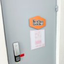 인천세븐일레븐부평대로점 | 인천 파충류샵 몽땅게코 방문 후기! | 다양한 납테일게코 만나기