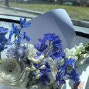 흙감자와 함께 에버랜드 산리오 튤립 축제 방문 후기~