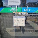 솔하우스&갤러리 | [2박3일 평창 여행] 육백마지기 샤스타데이지부터 정선 5일장까지 비 와도 좋았던 여행
