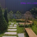 나이스스크린골프 | [수원 스크린골프] 호매실 나이스 스크린골프 편리한 주차와 깔끔한 시설