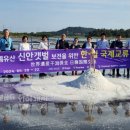 신안센터-5 이미지