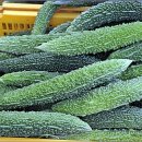 하리네 하우스 이미지