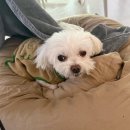 (주)아성다이소 선릉점 | [2026/2月] 2월 세번째 일기 :: (26년 2월 16일 - 26년 2월 22일)