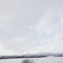 만지 농장 이미지