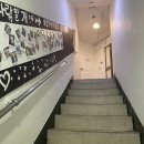 평생 사랑할 개 이미지