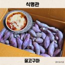 다원피자 | 고창 꿀고구마 10kg 레시피 초간단 고구마피자 식명관 택배비 무료 특가