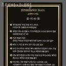 스테파니네일