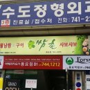 포쉬네일(forsythe) 이미지